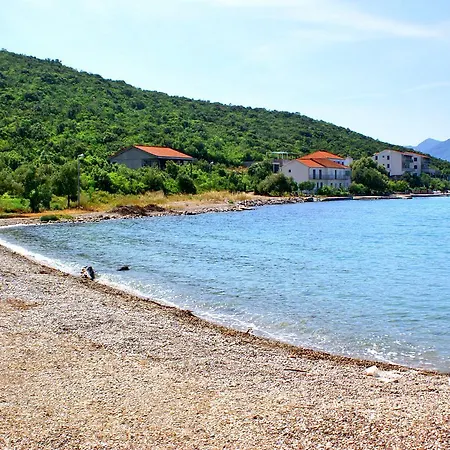 Studio 4550a * Drače